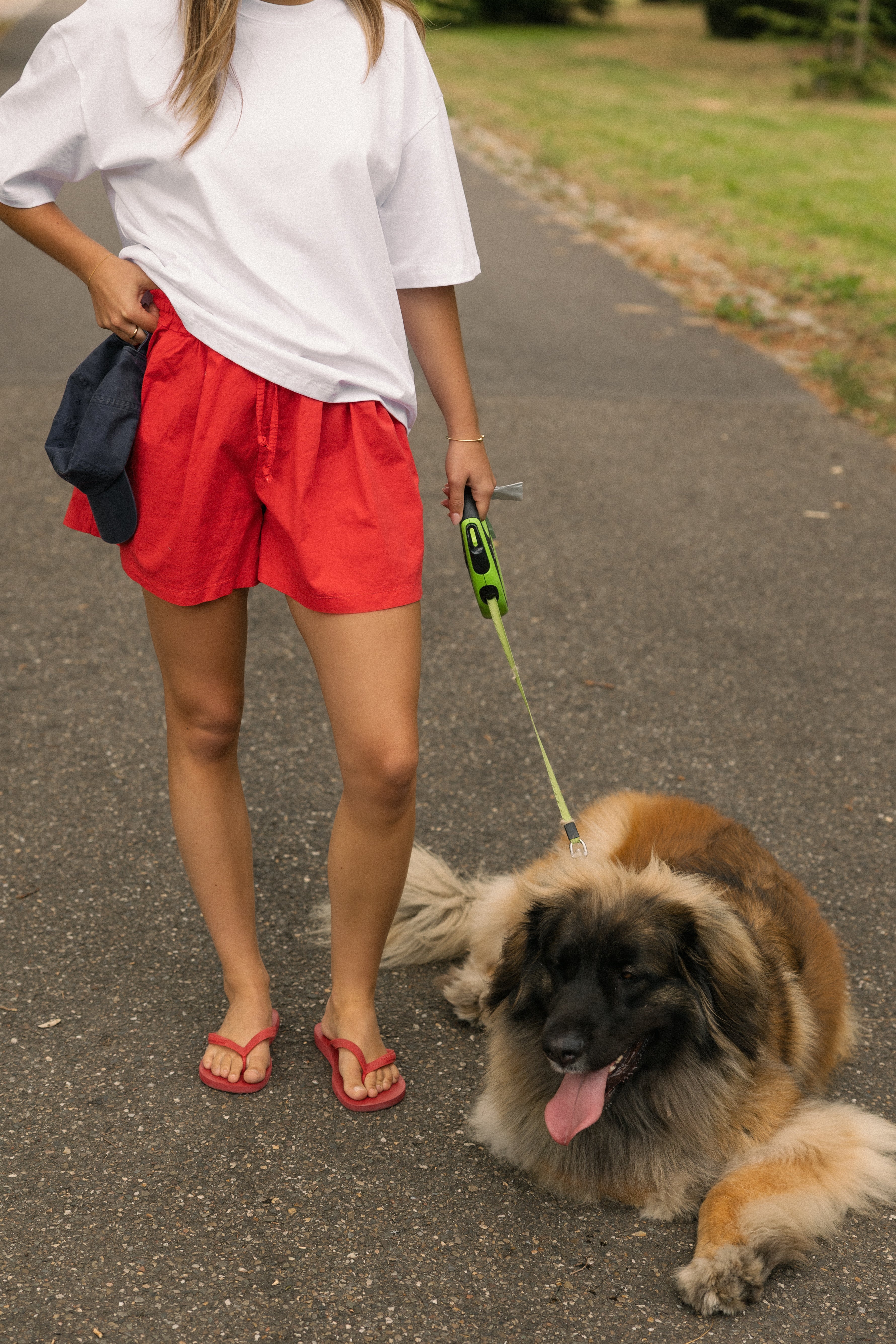 COTTON BASIC SHORT RED