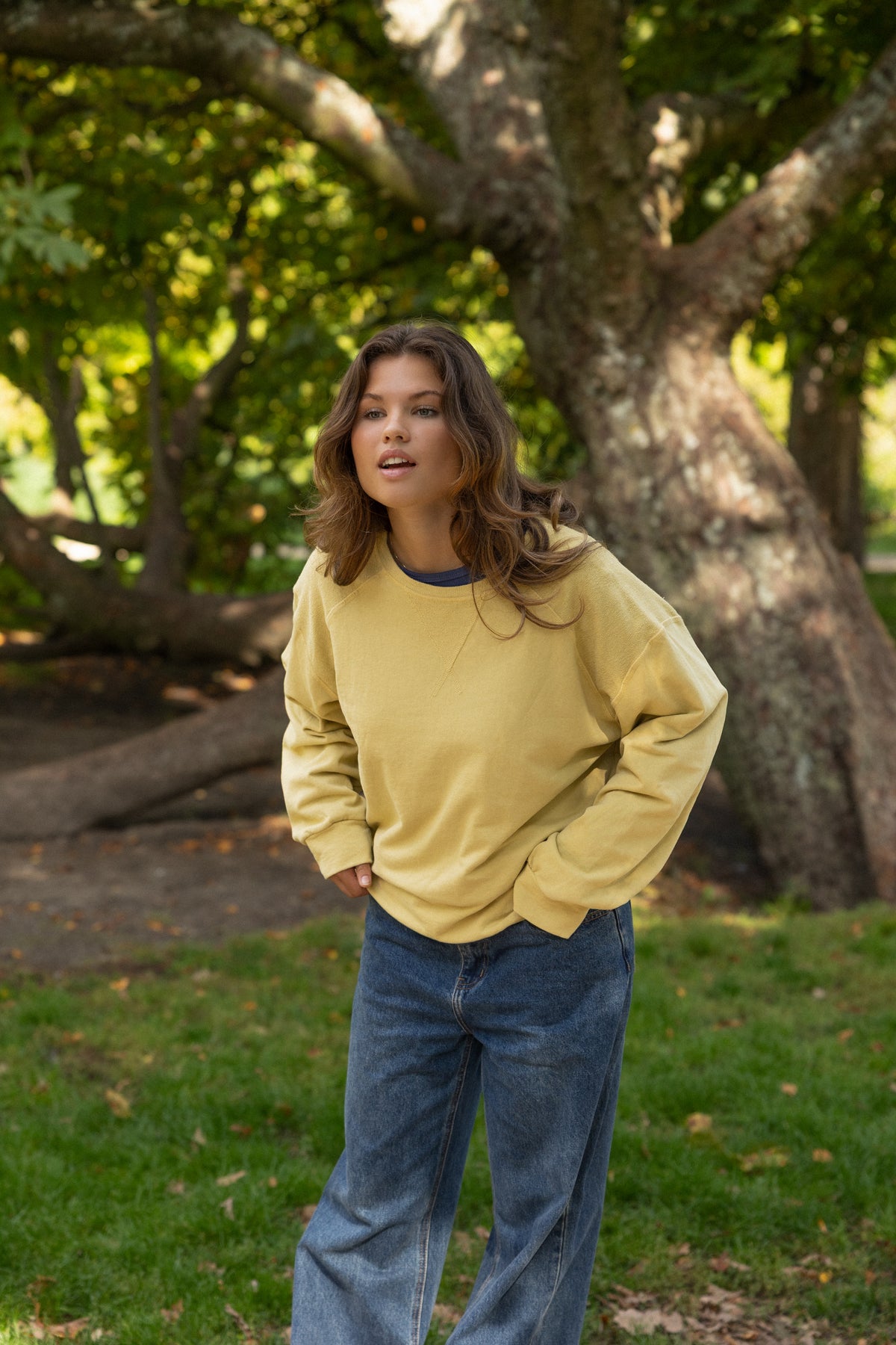 FRANKIE SWEATER YELLOW
