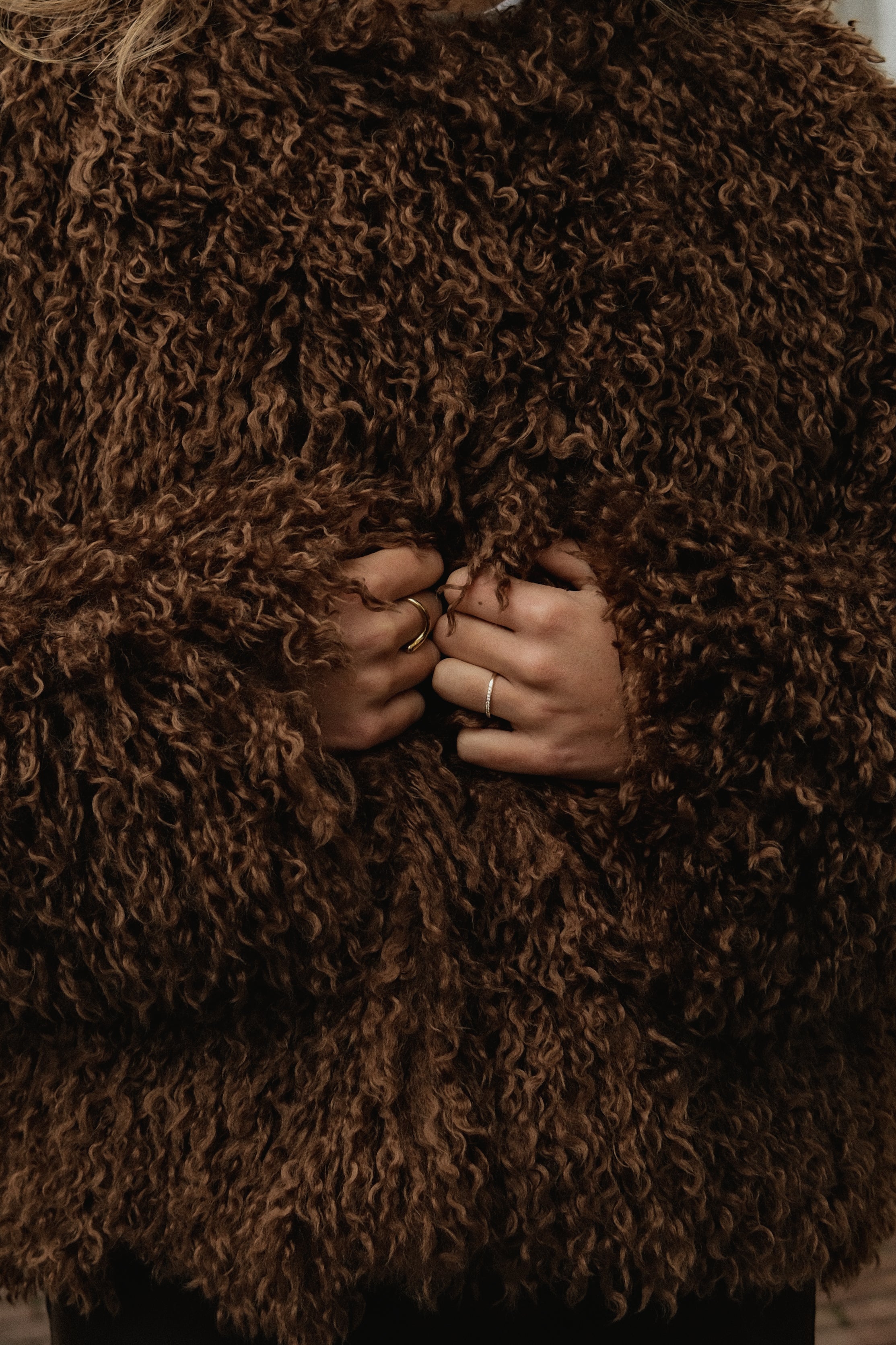 THE TEDDY COAT BROWNIE