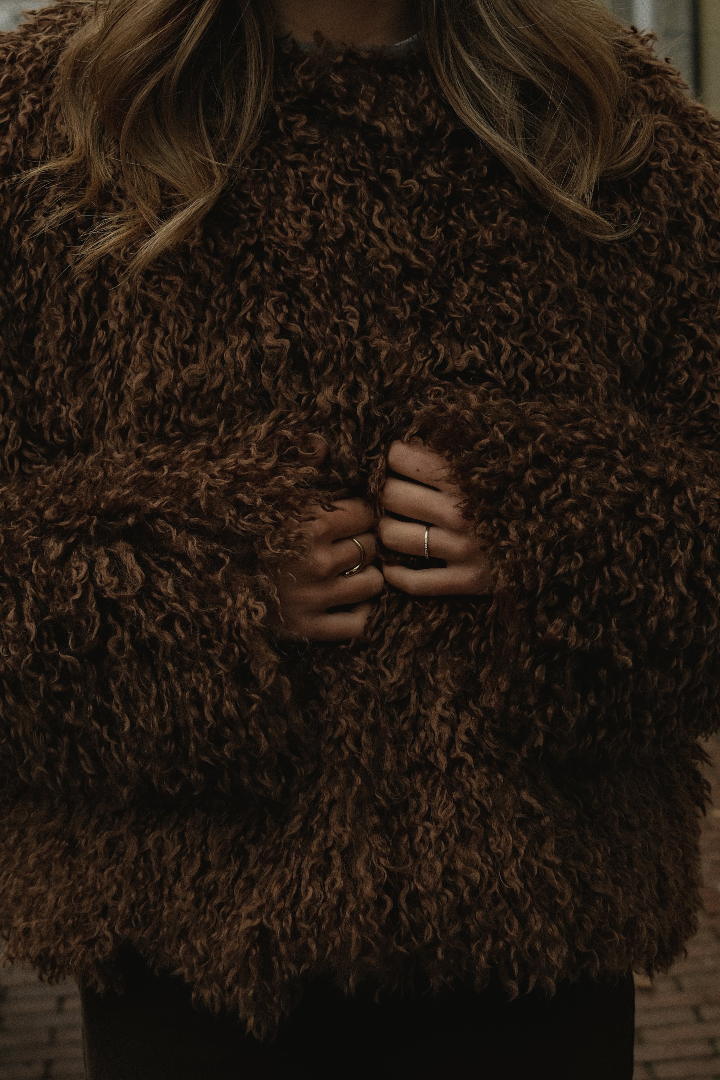 THE TEDDY COAT BROWNIE