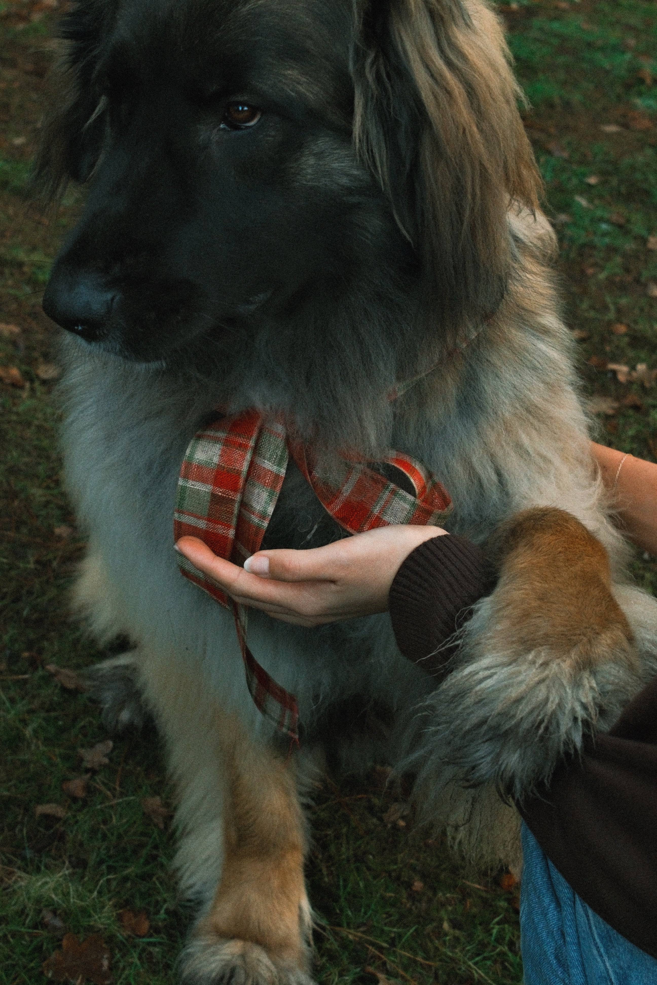 RUDY LONG SLEEVE TEE BLACK