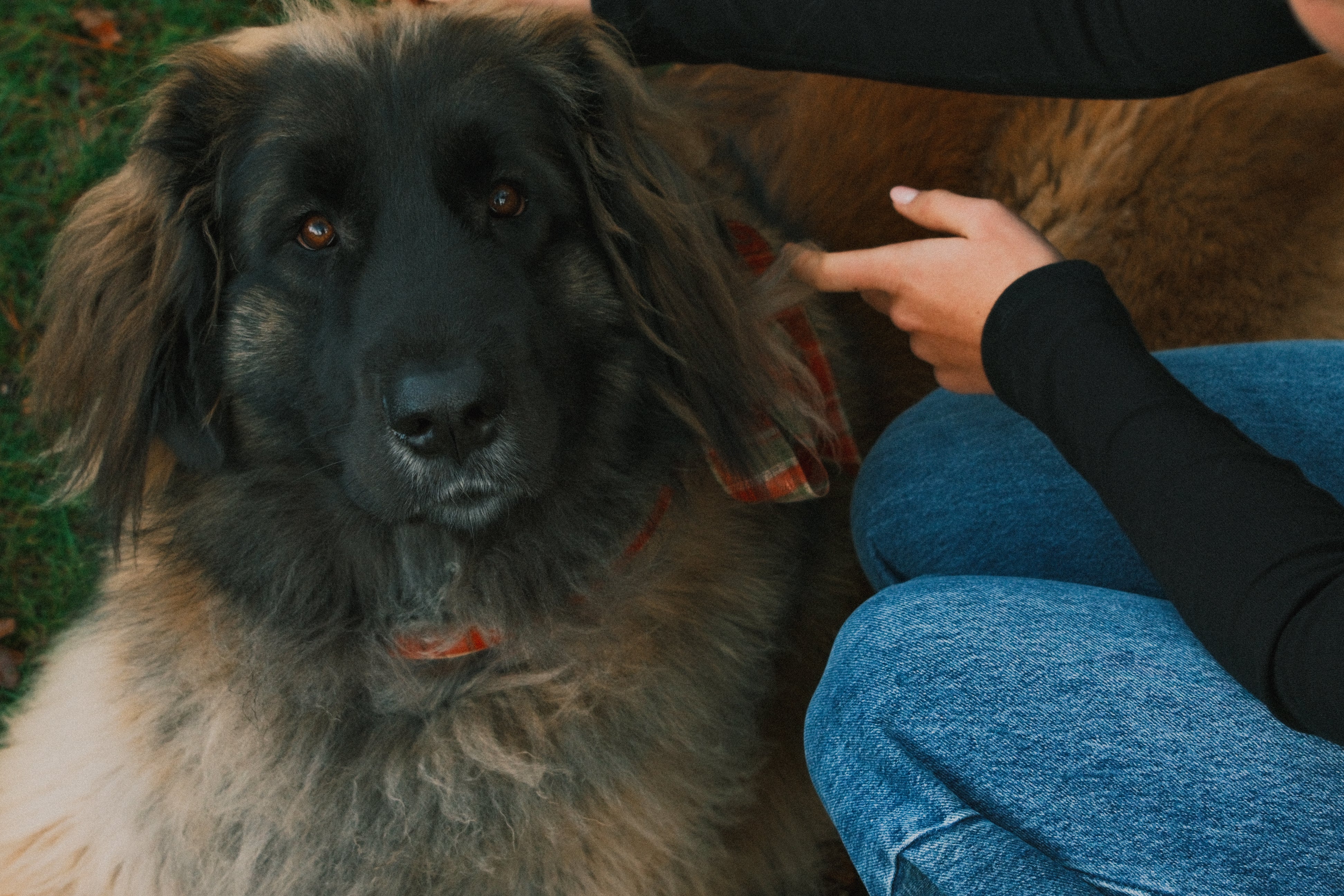 RUDY LONG SLEEVE TEE BLACK