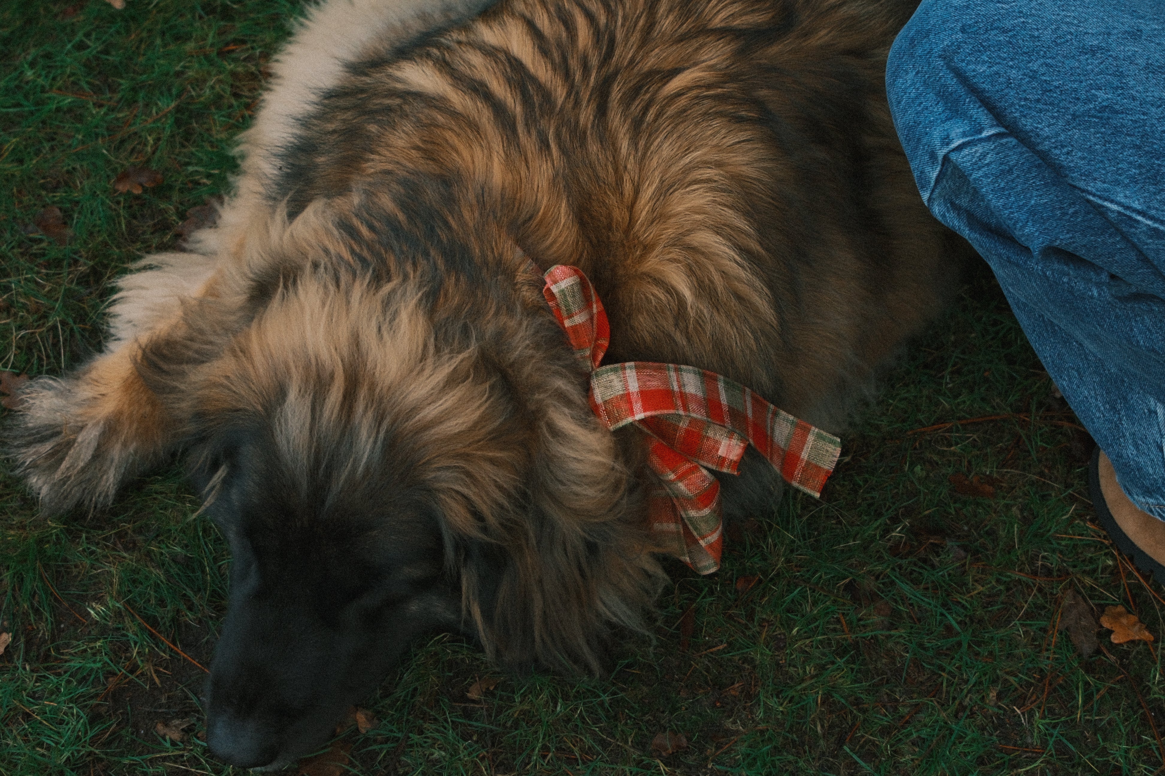 RUDY LONG SLEEVE TEE BLACK