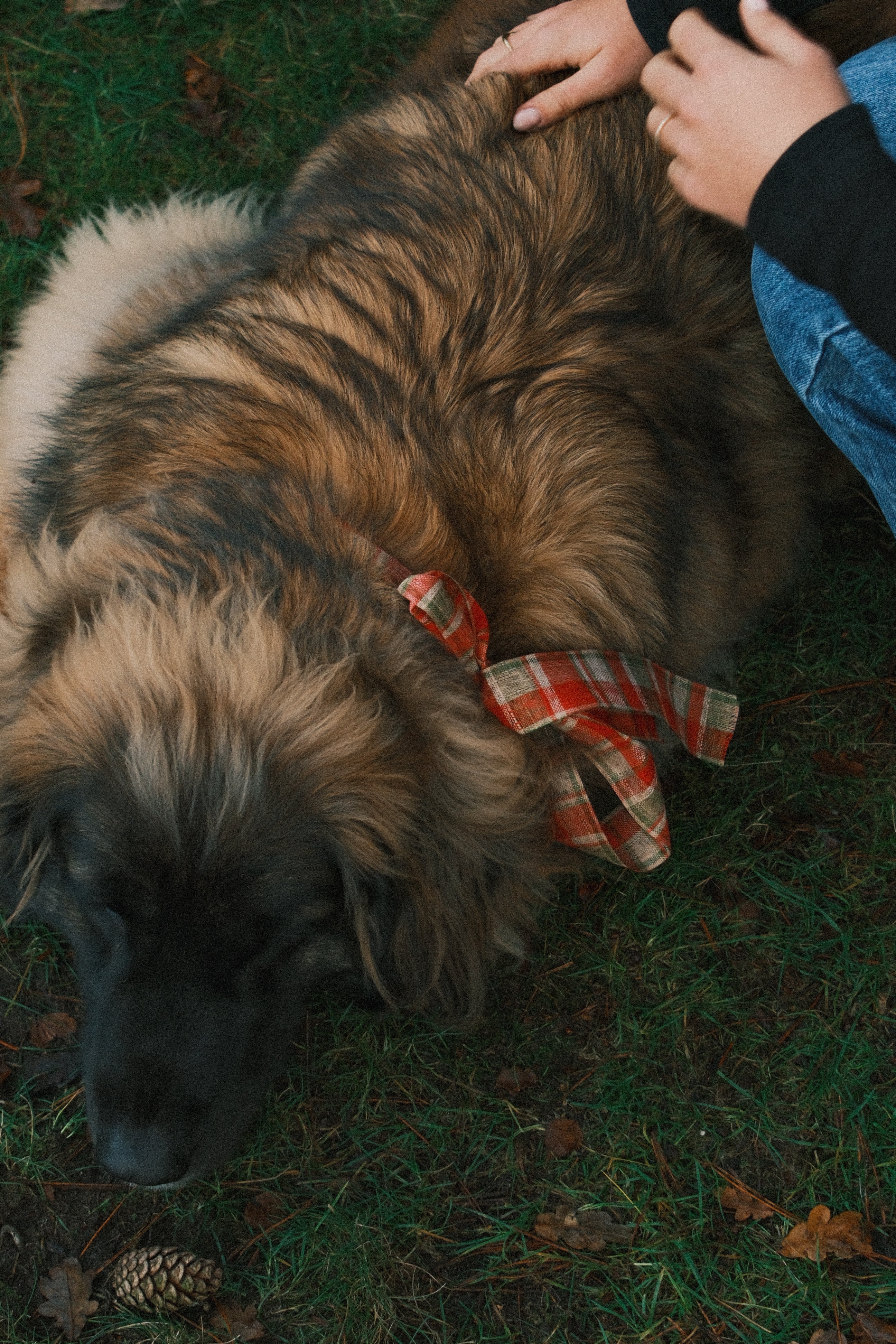 RUDY LONG SLEEVE TEE BLACK