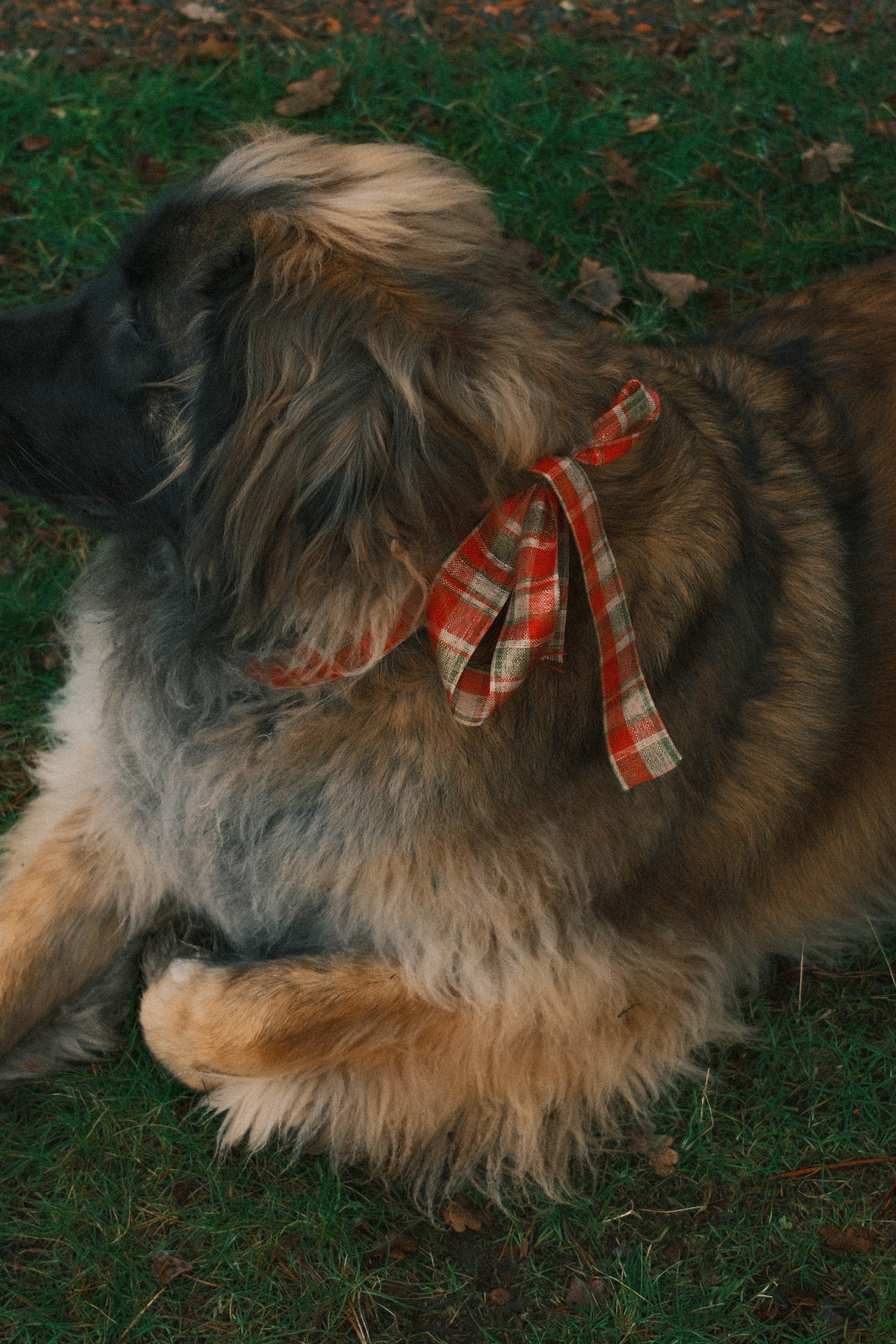 RUDY LONG SLEEVE TEE BLACK