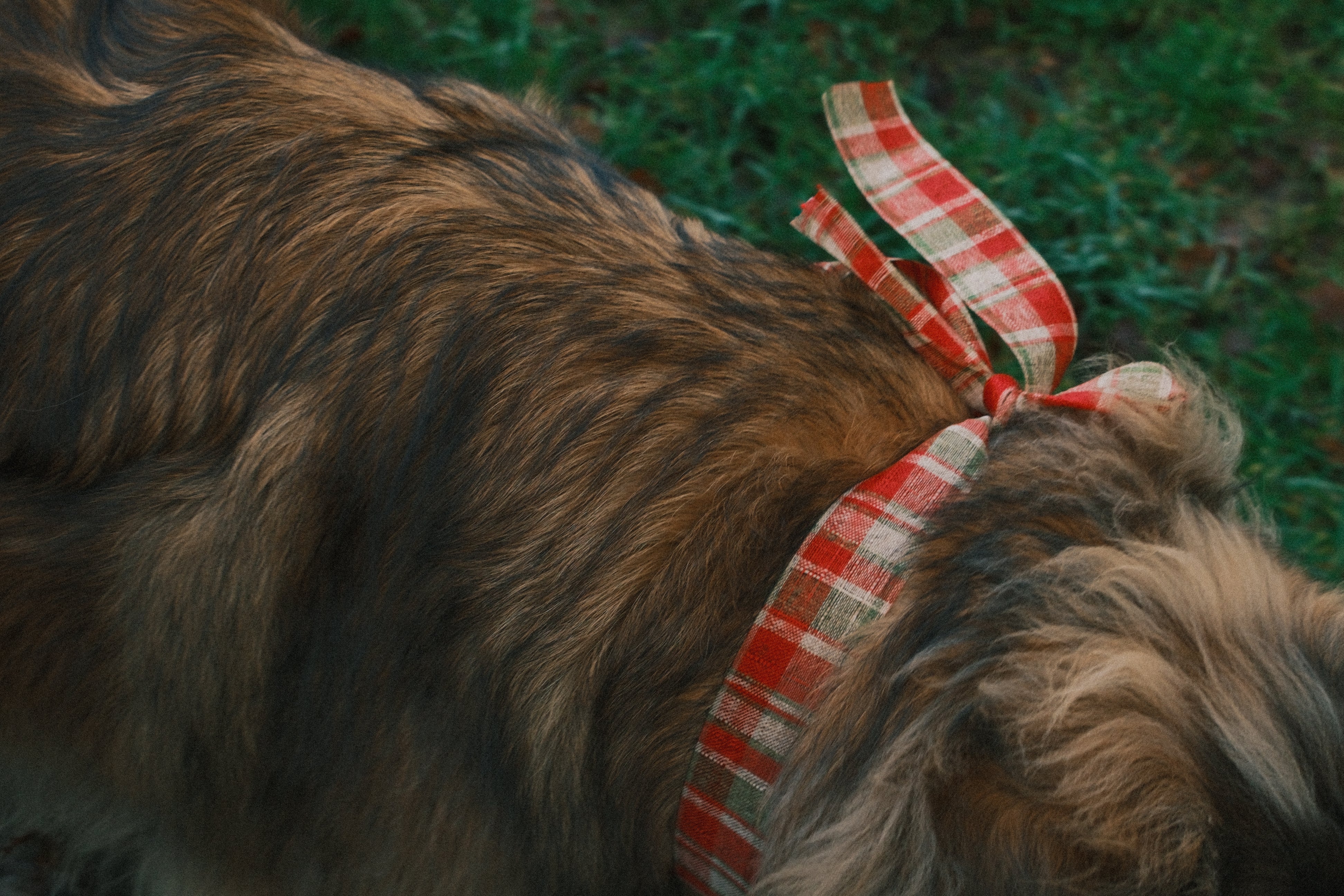 RUDY LONG SLEEVE TEE BLACK