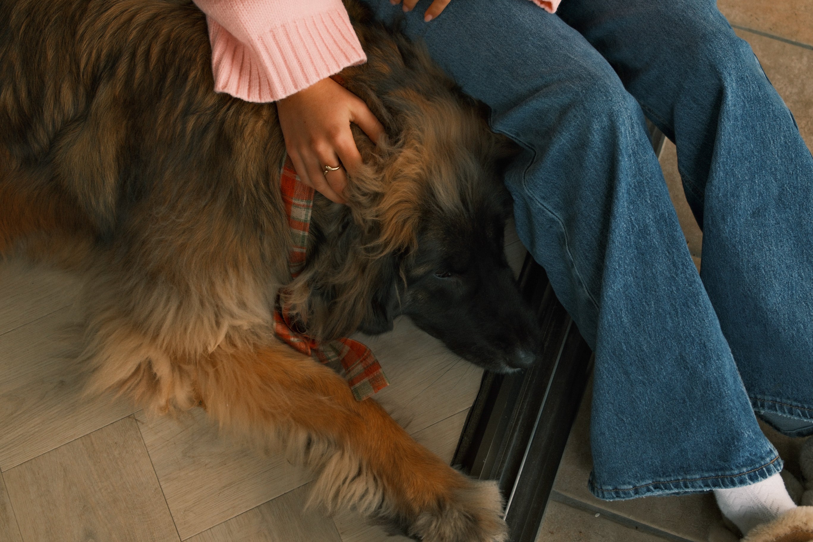 VIENNA COL KNIT BABY PINK