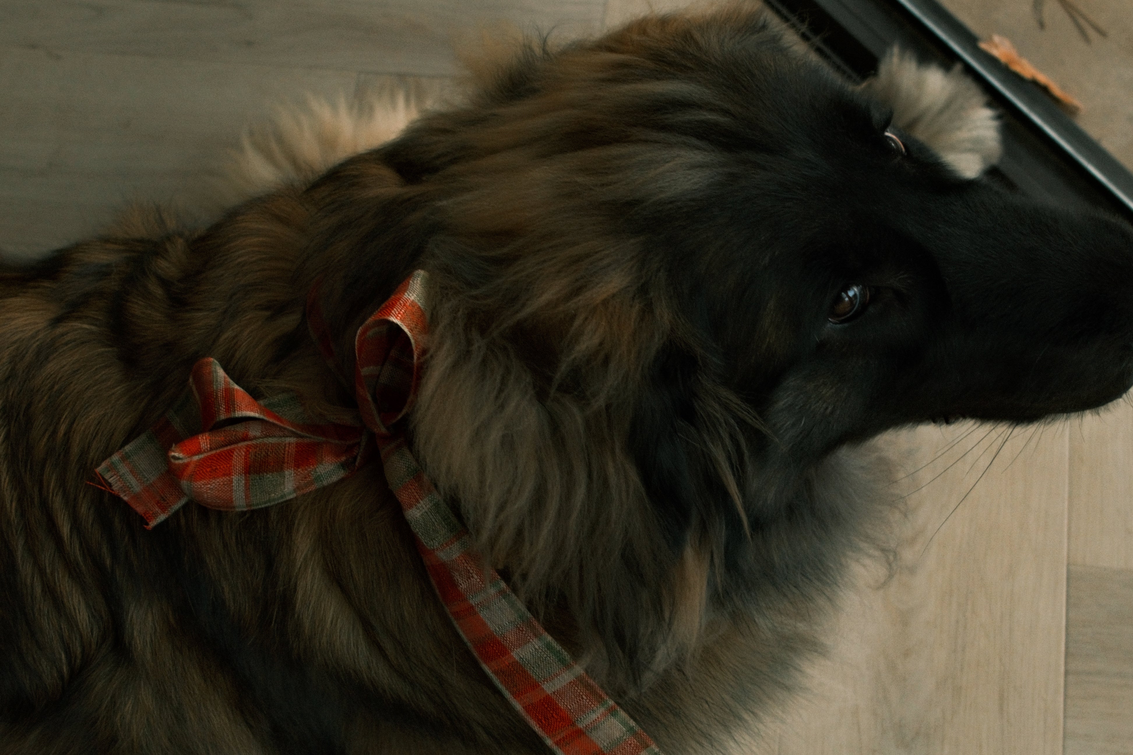 VIENNA COL KNIT BABY PINK