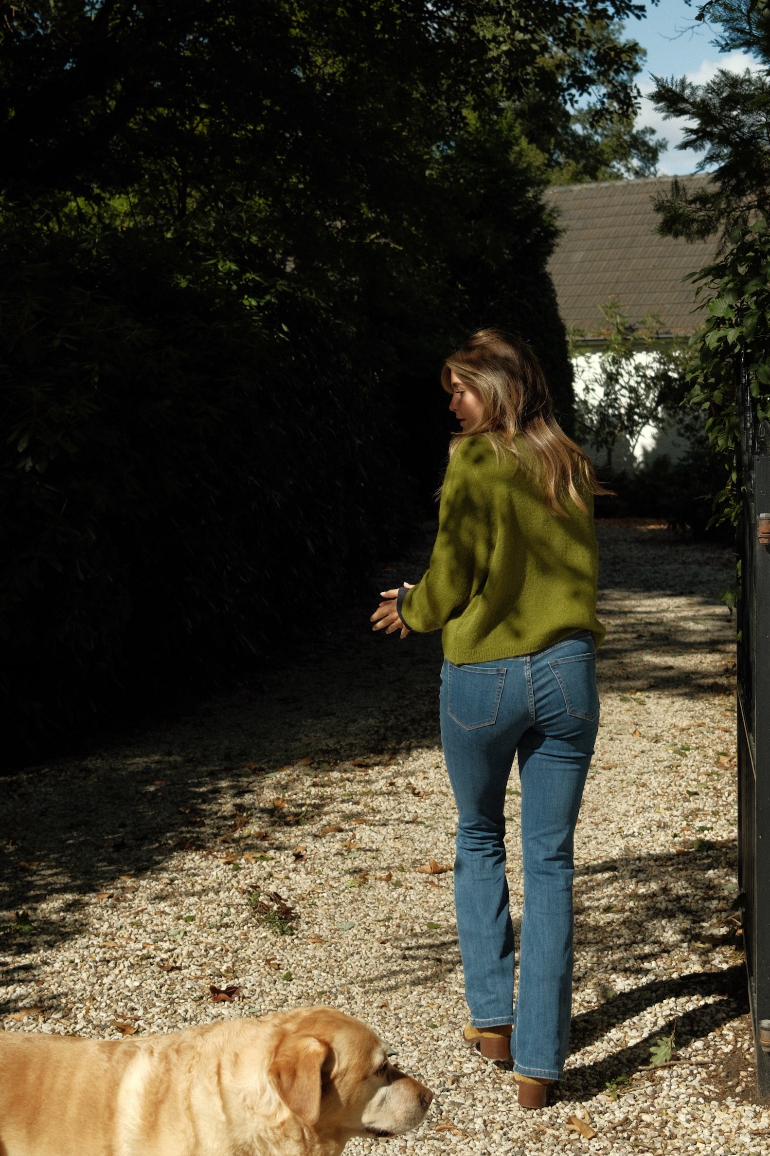 THE ALPACA V CARDIGAN OLIVE GREEN