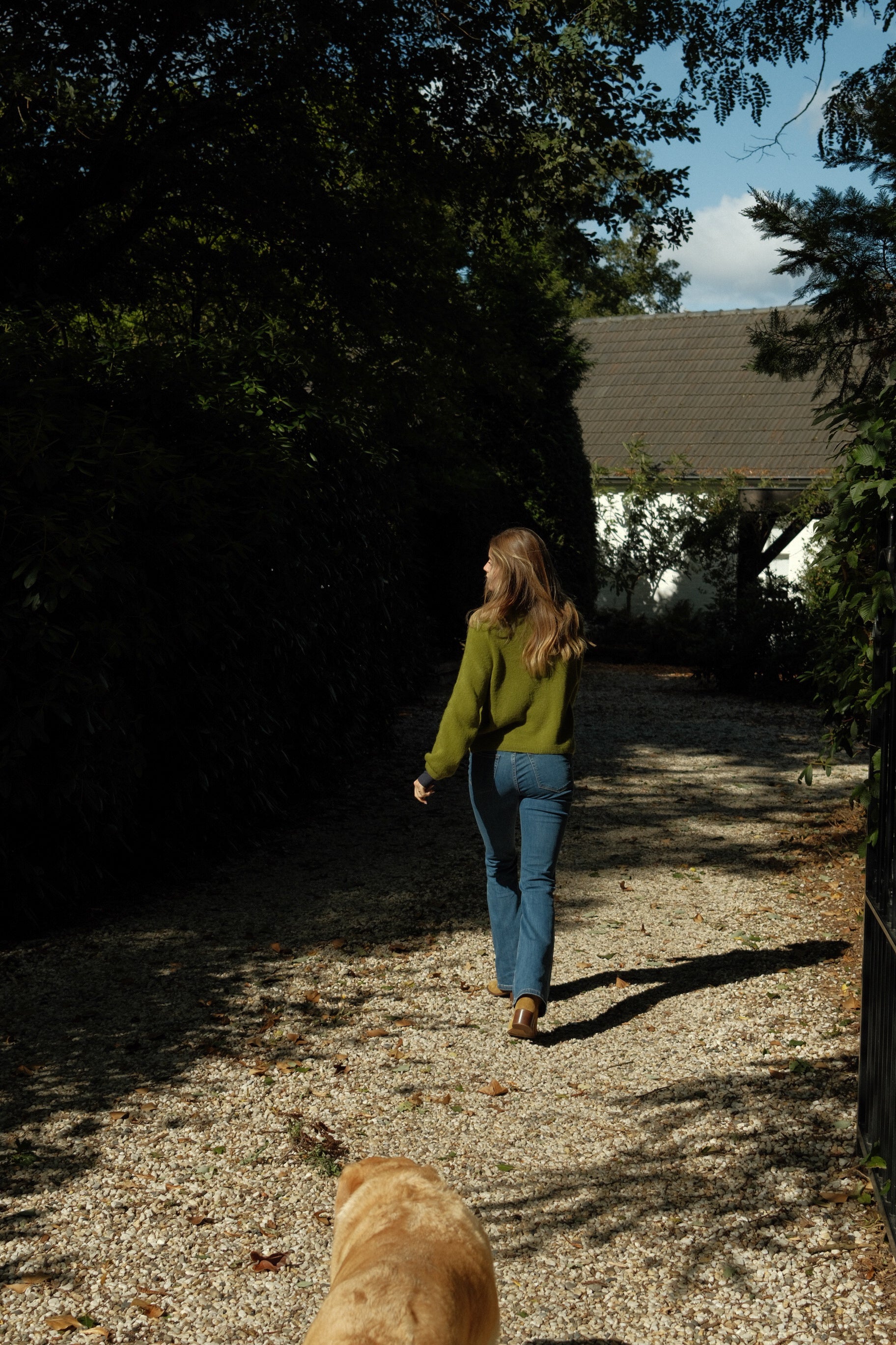 THE ALPACA V CARDIGAN OLIVE GREEN