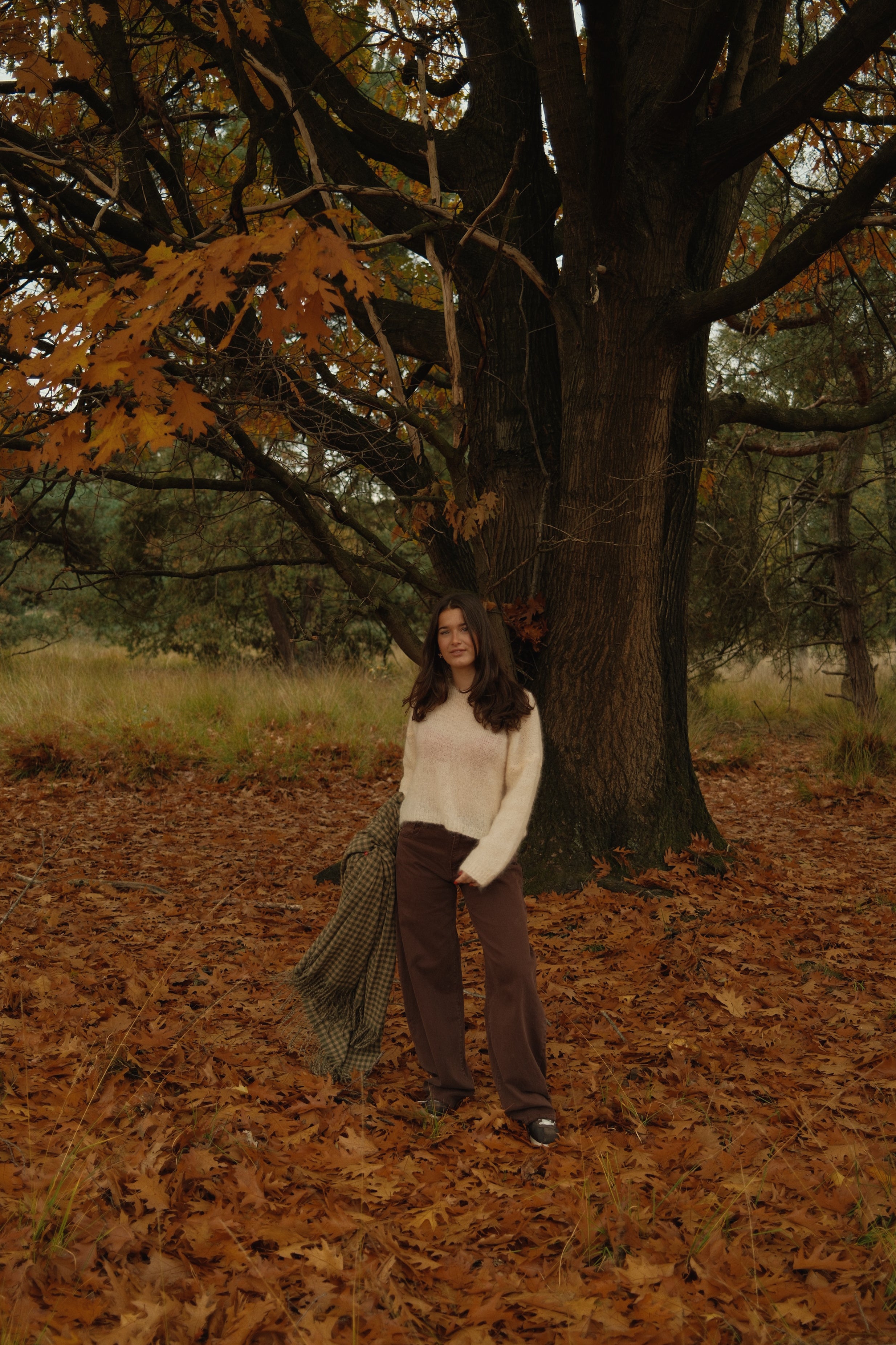 SLOW MORNING MOHAIR KNIT BEIGE