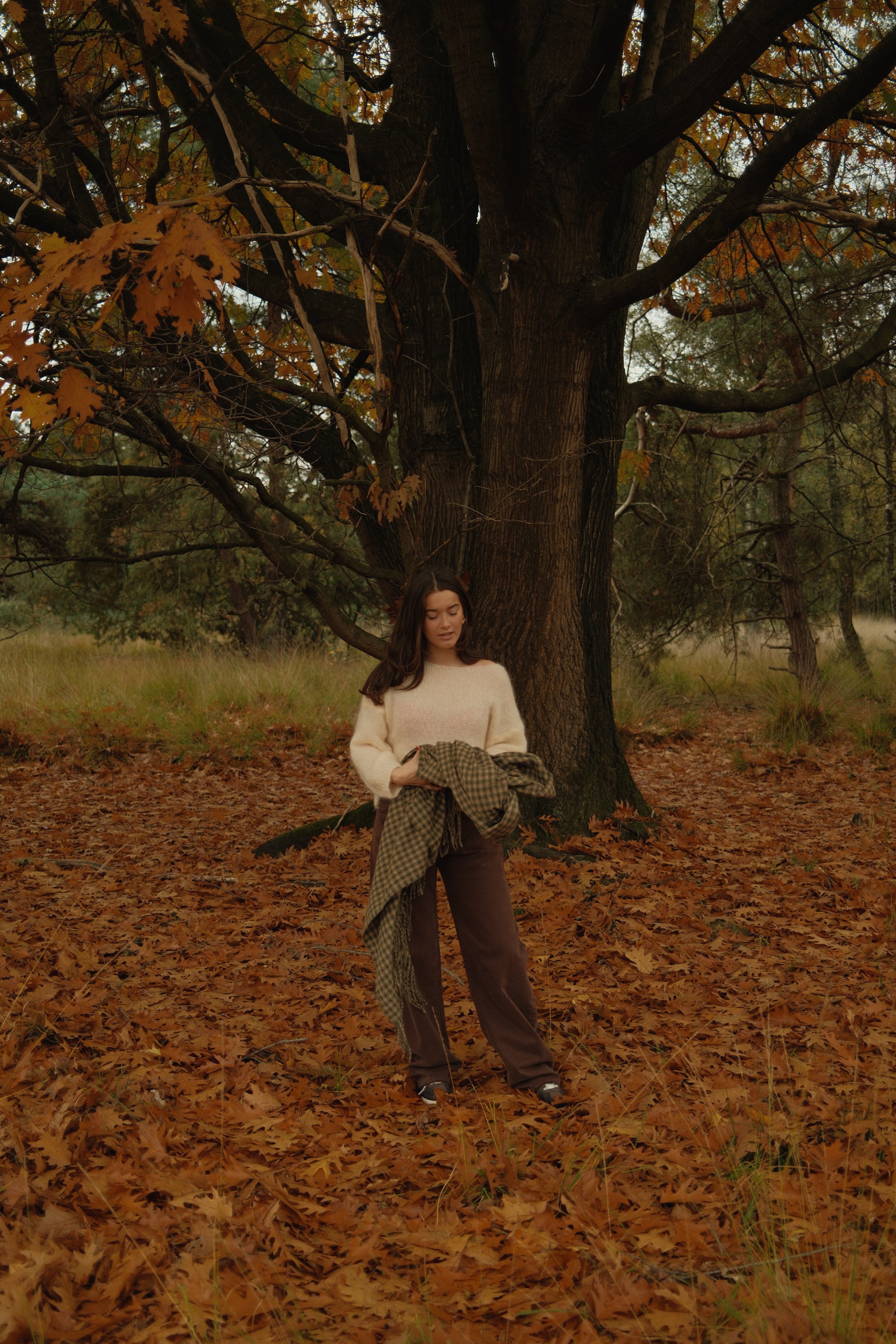 SLOW MORNING MOHAIR KNIT BEIGE