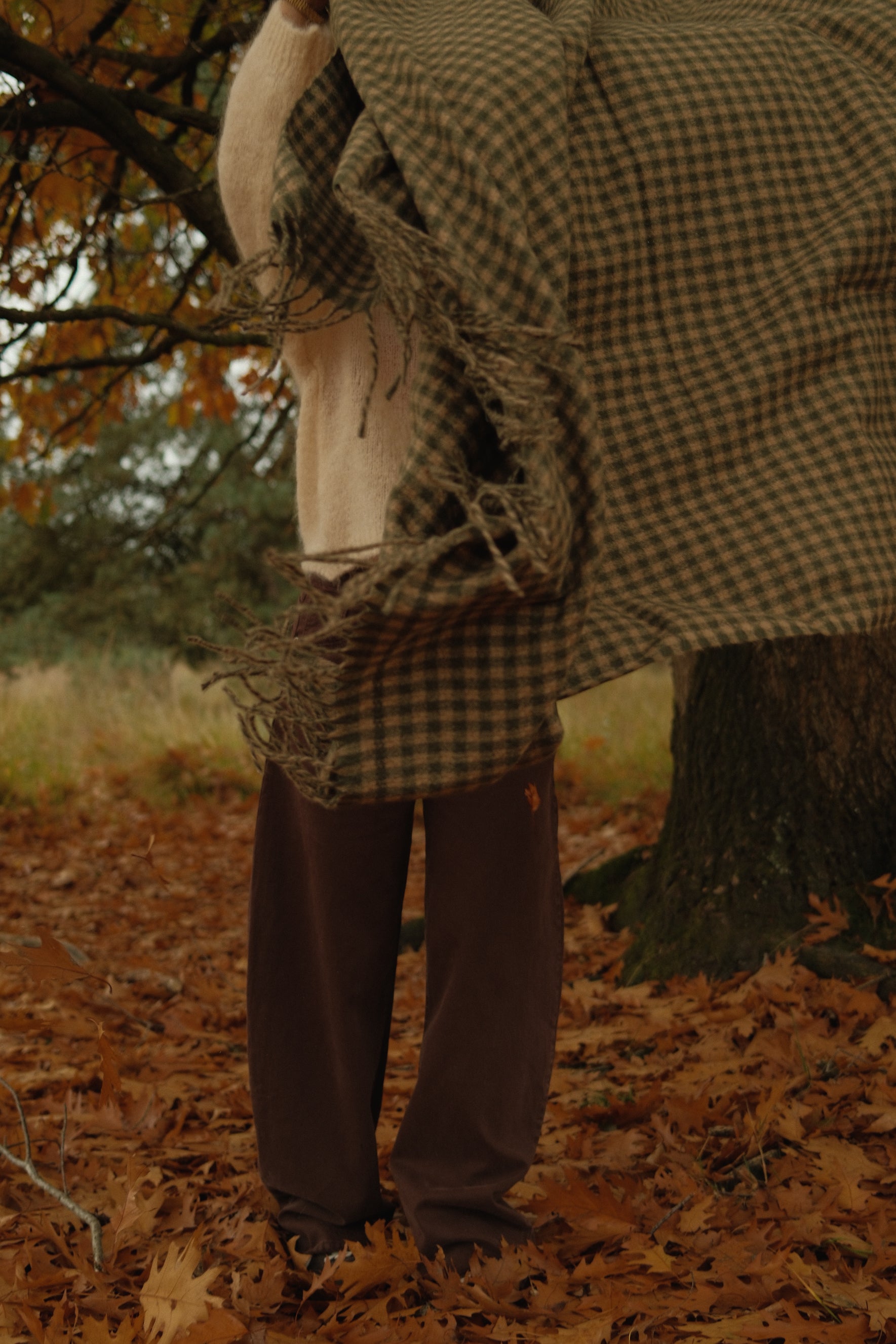 SLOW MORNING MOHAIR KNIT BEIGE