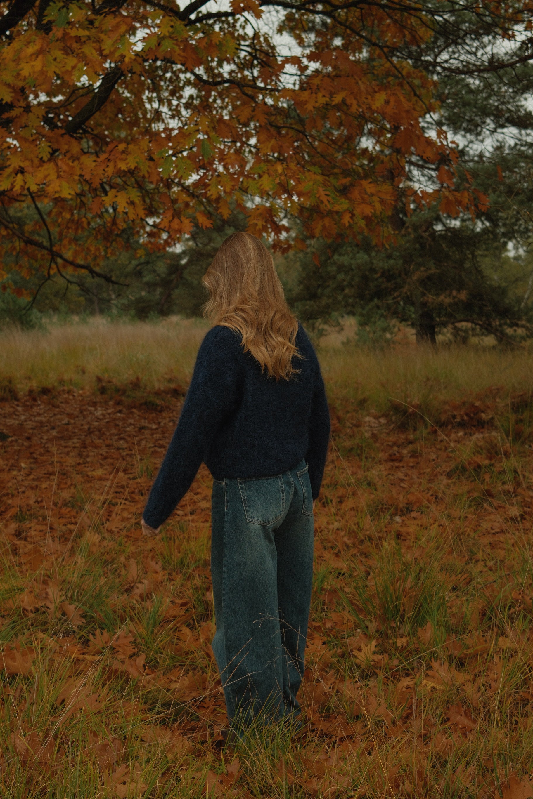 SLOW MORNING MOHAIR KNIT NAVY