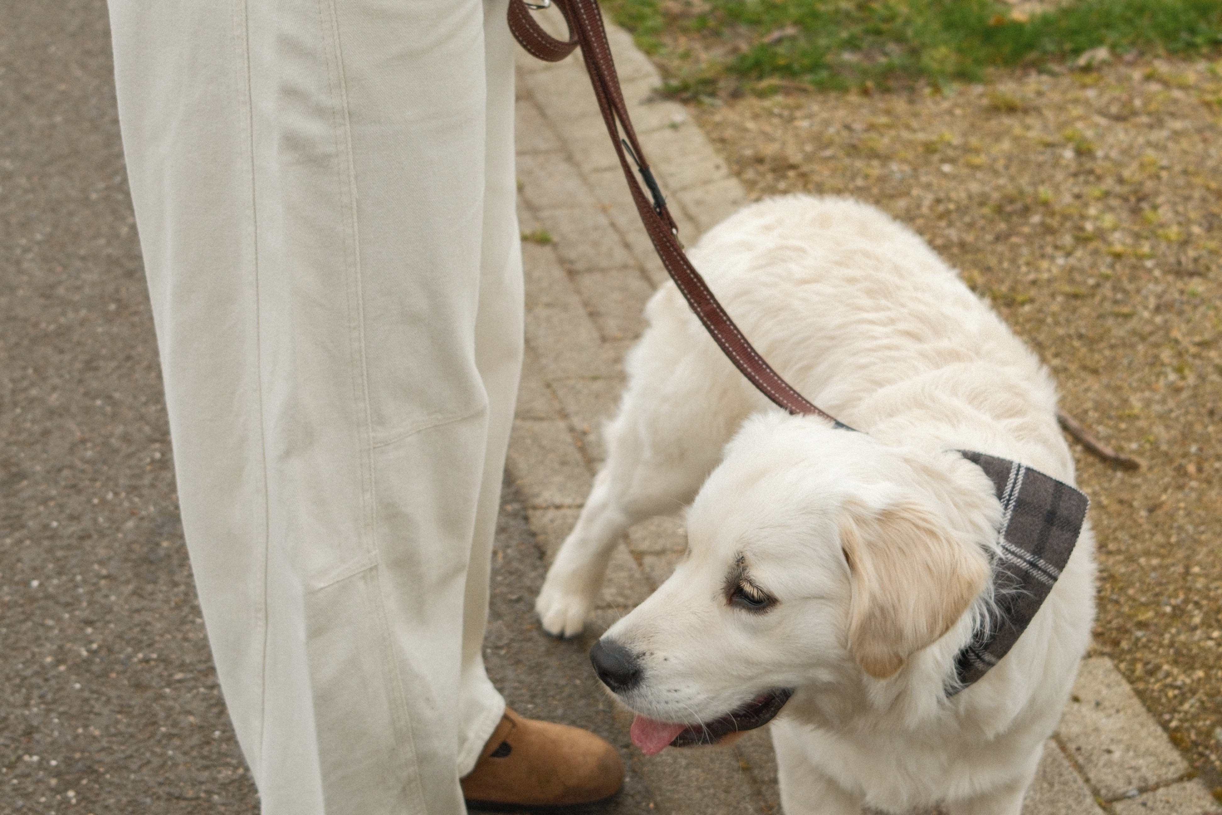 A SCANDI SPRING PART I