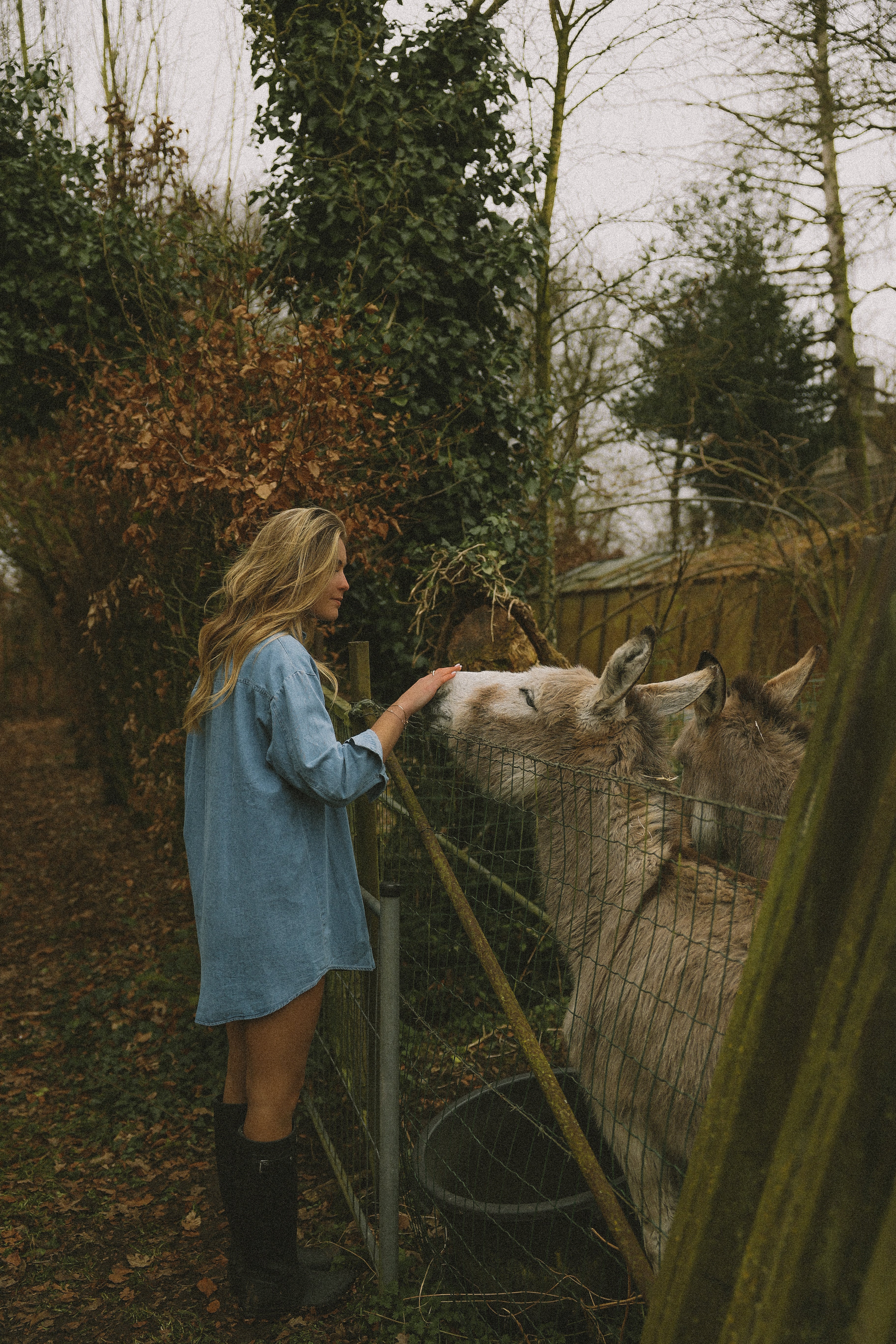 DENIM SAM DRESS LIGHTBLUE