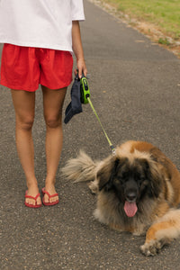 COTTON BASIC SHORT RED