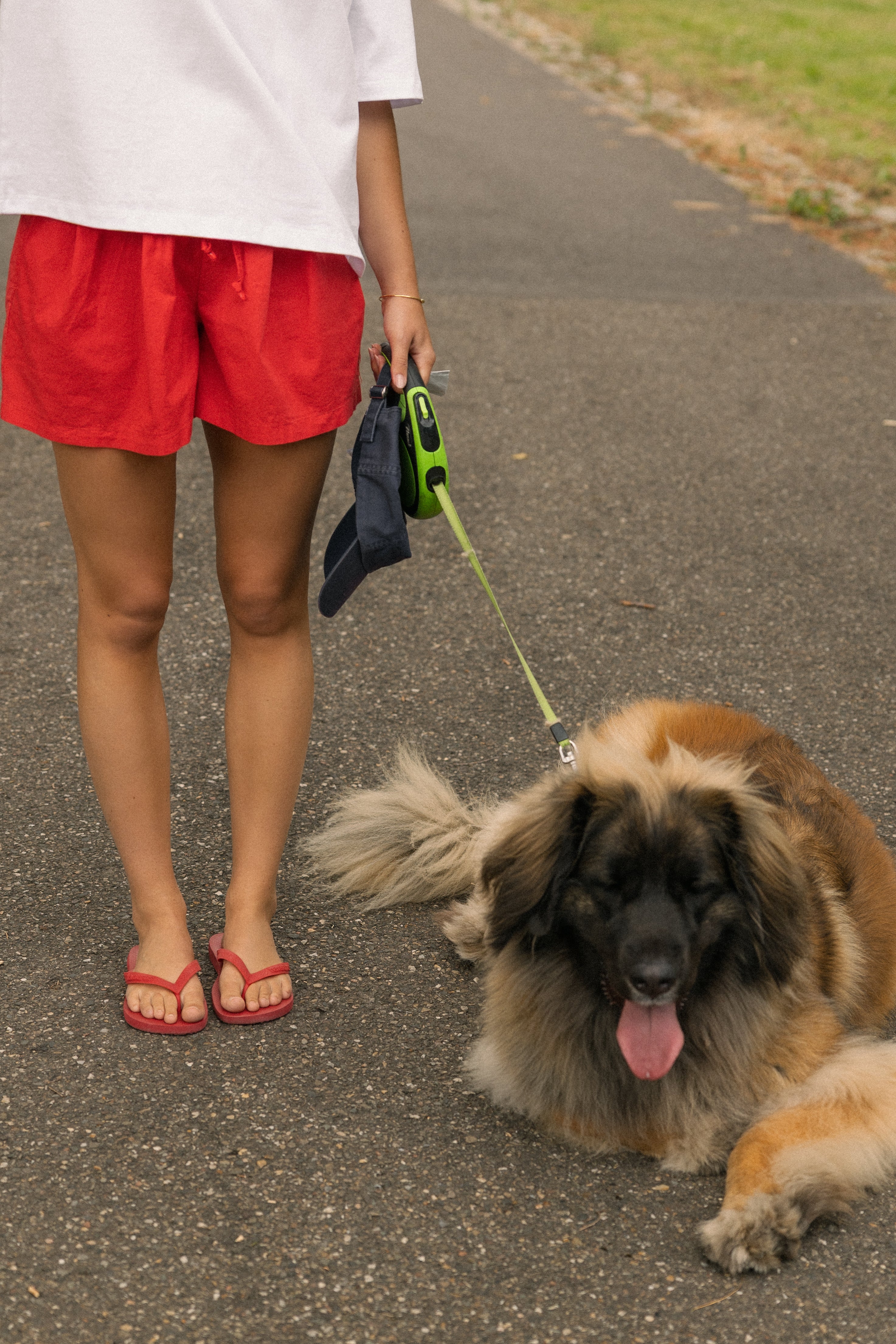 COTTON BASIC SHORT RED