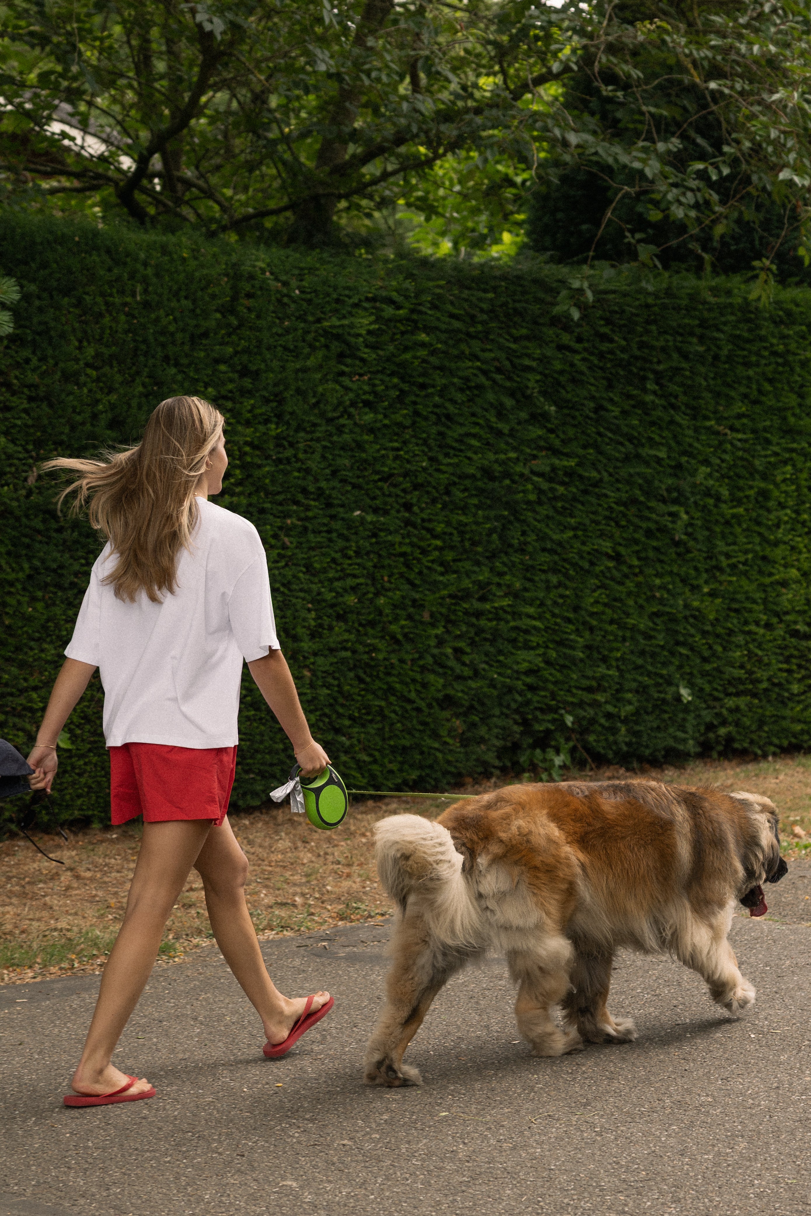 COTTON BASIC SHORT RED