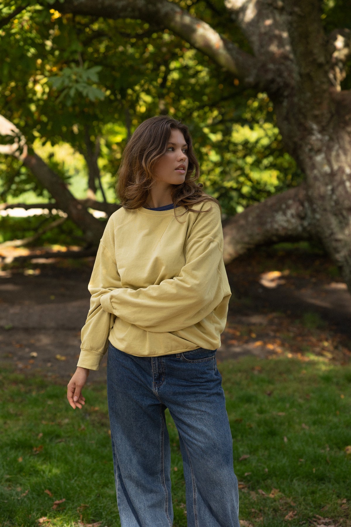 FRANKIE SWEATER YELLOW
