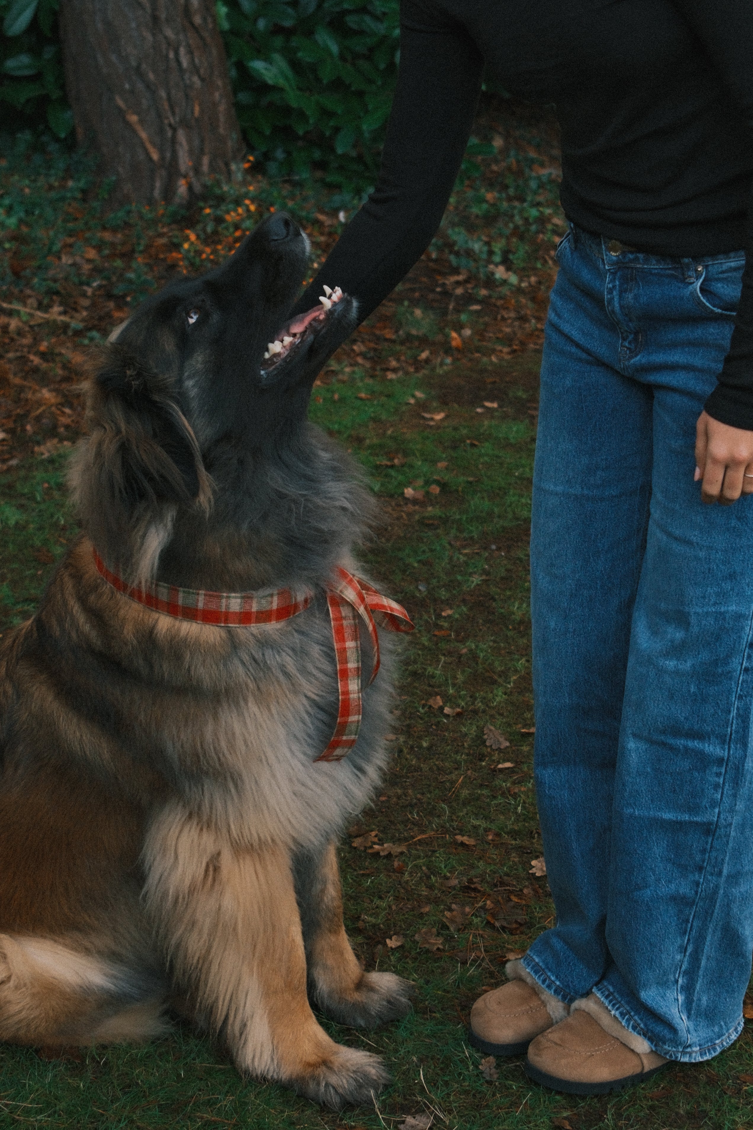 RUDY LONG SLEEVE TEE BLACK
