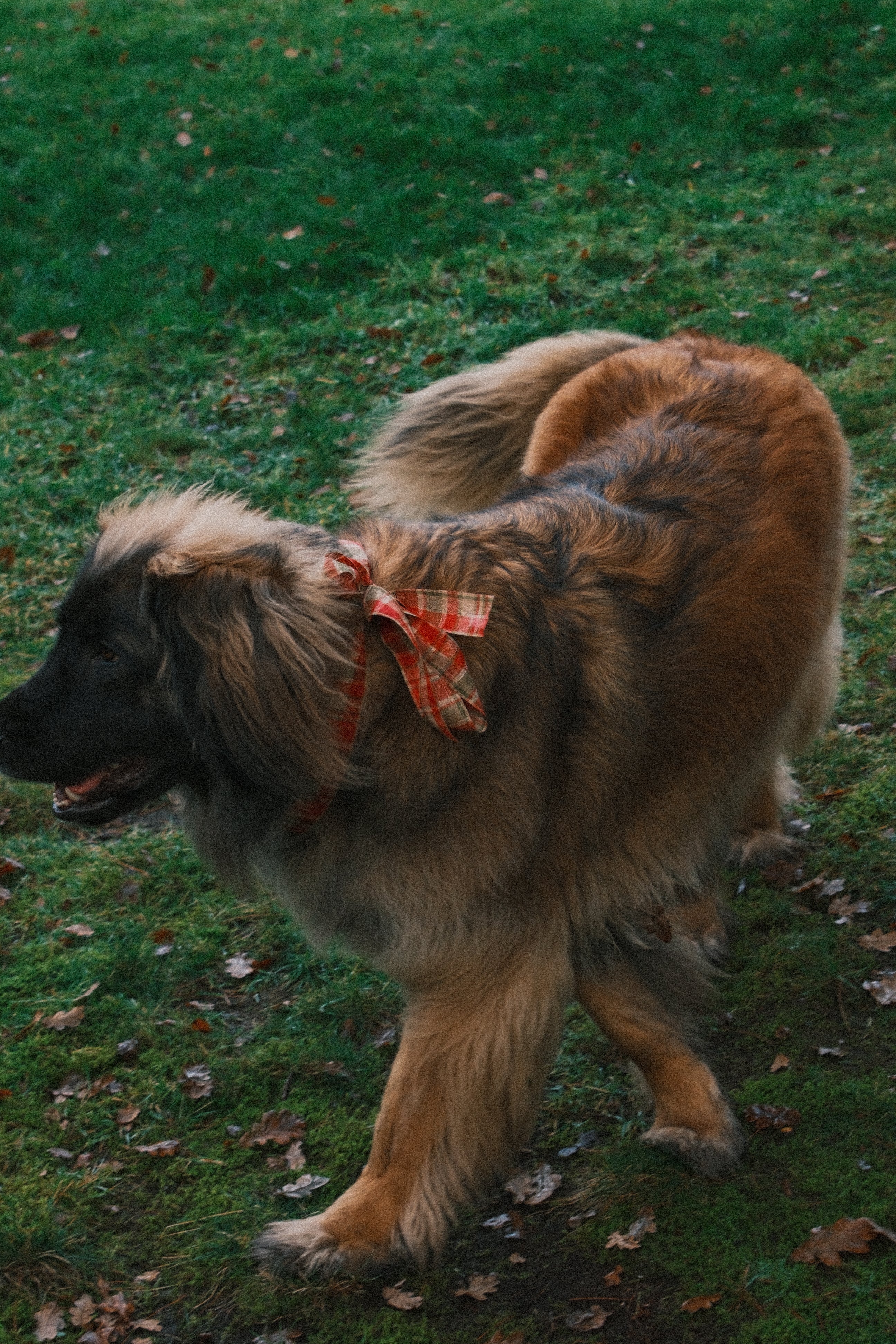 RUDY LONG SLEEVE TEE BLACK