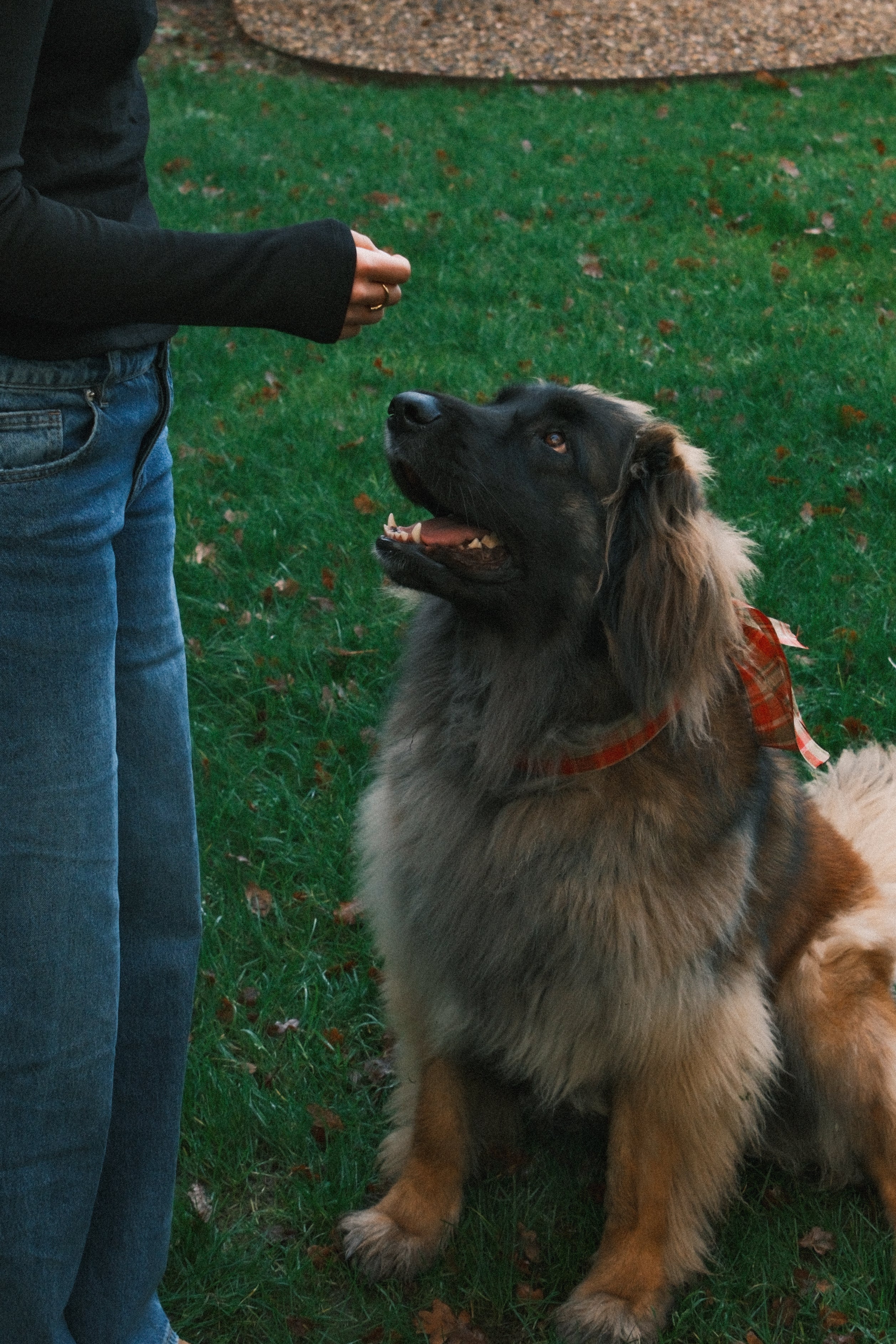 RUDY LONG SLEEVE TEE BLACK