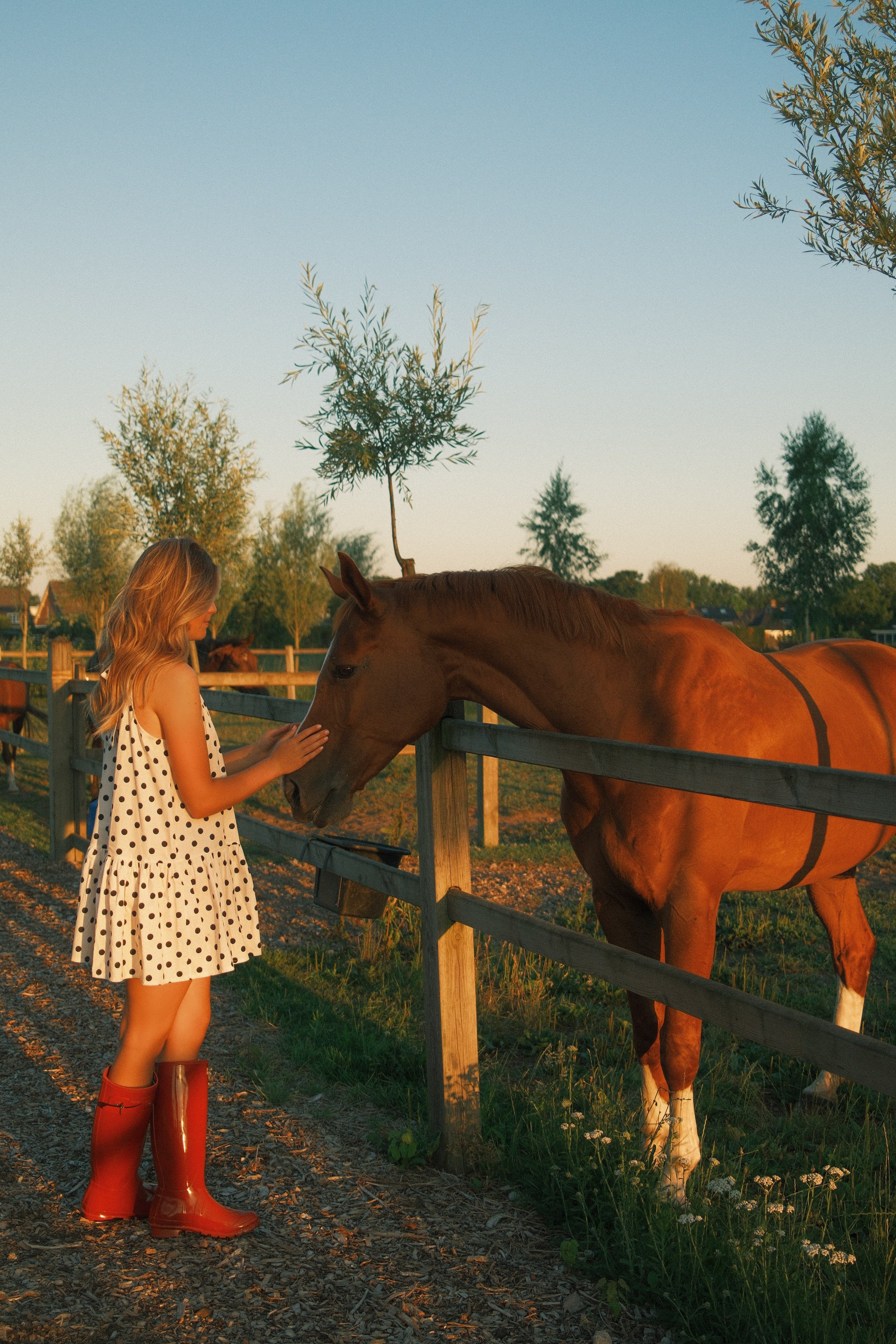 POLKADOT SUMMER DRESS