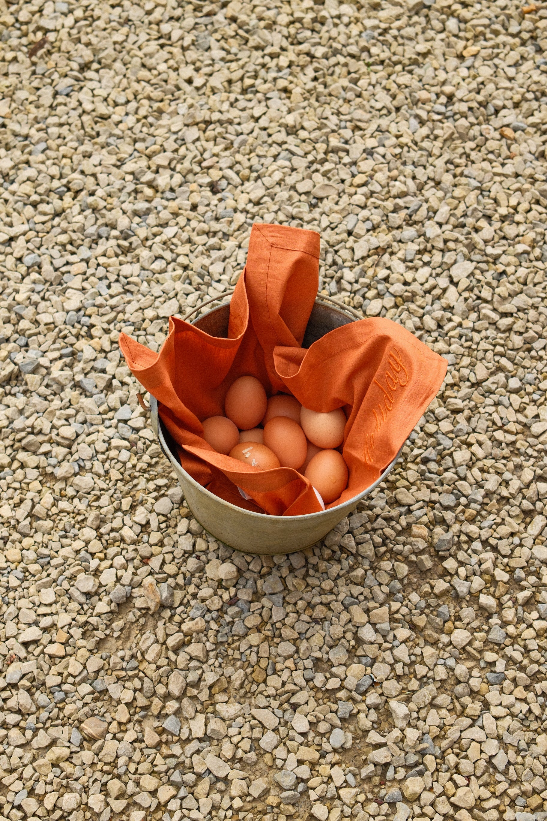 HOLIDAY NAPKIN SET OF 2