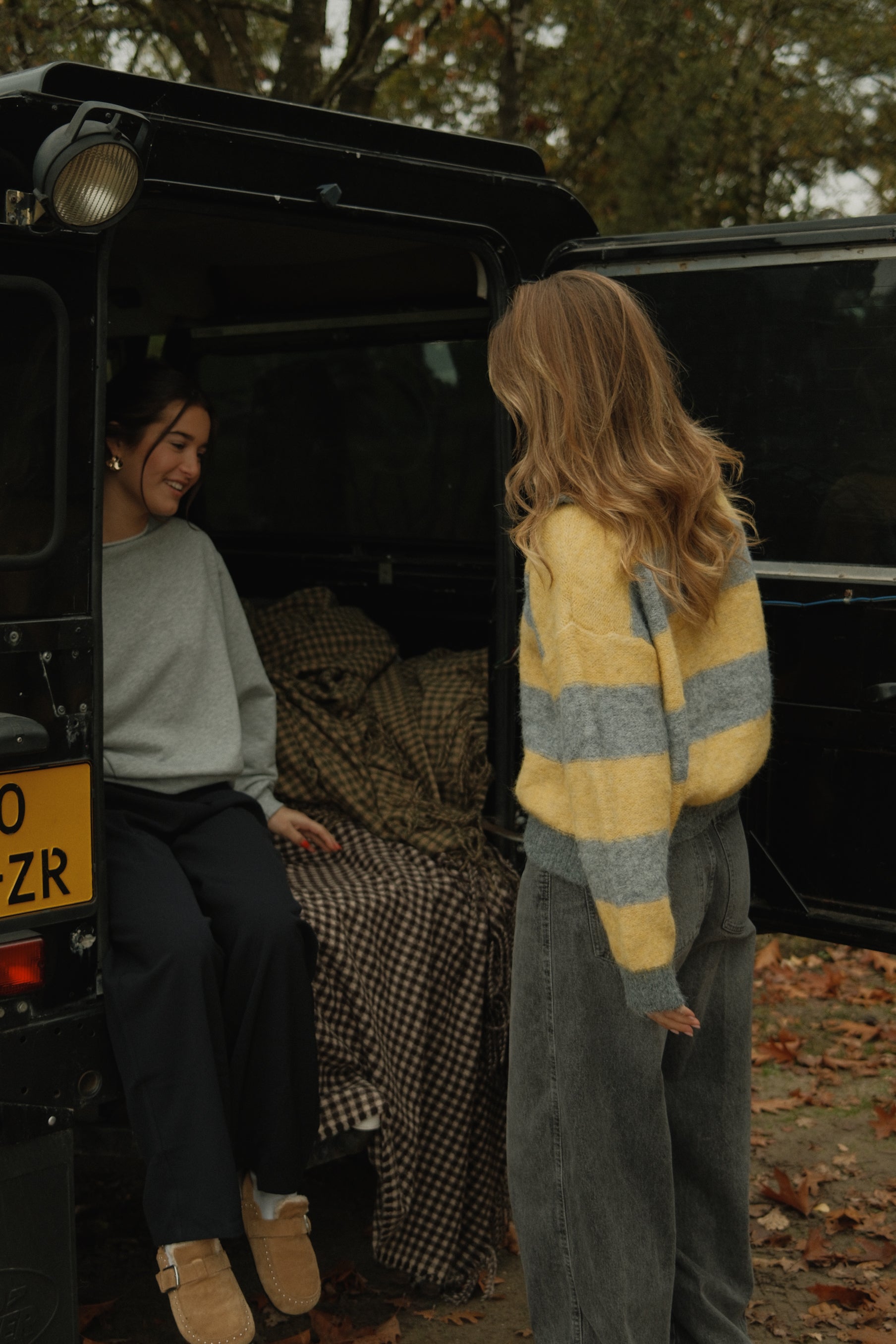 BOLD STRIPE ZIP KNIT YELLOW/GREY